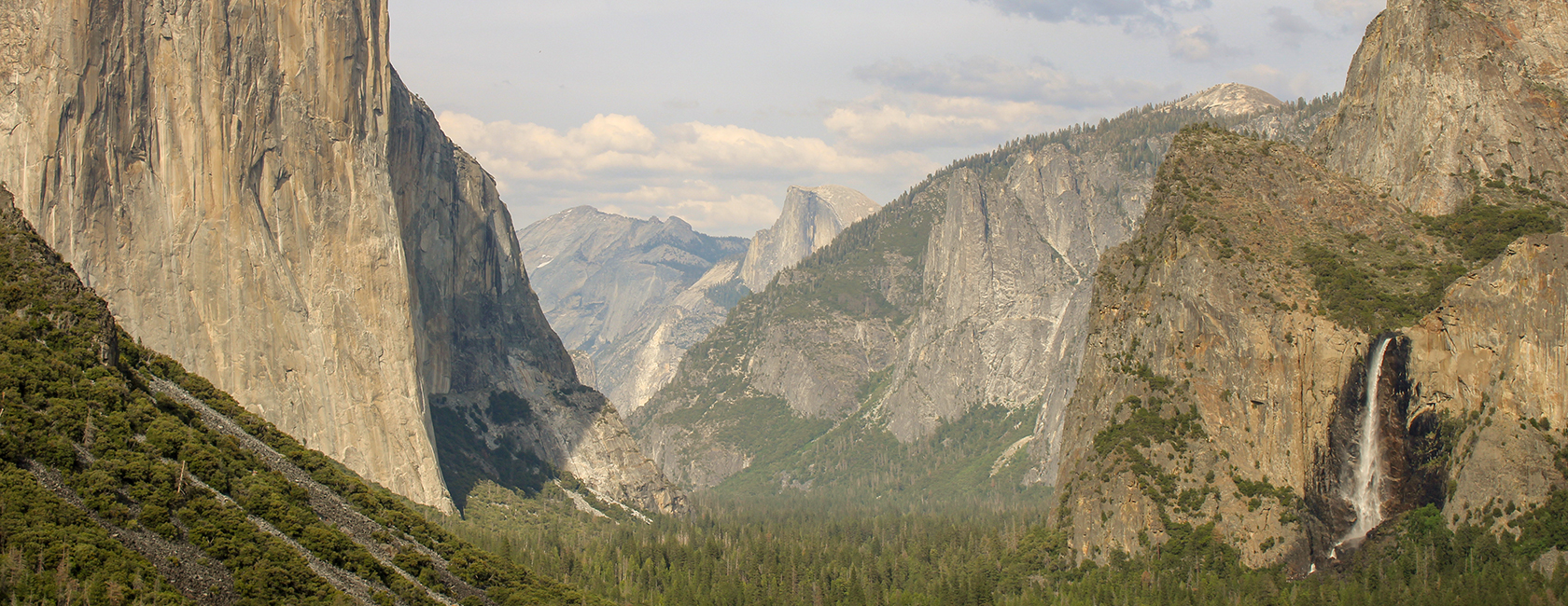 Yosemite mountains and trees