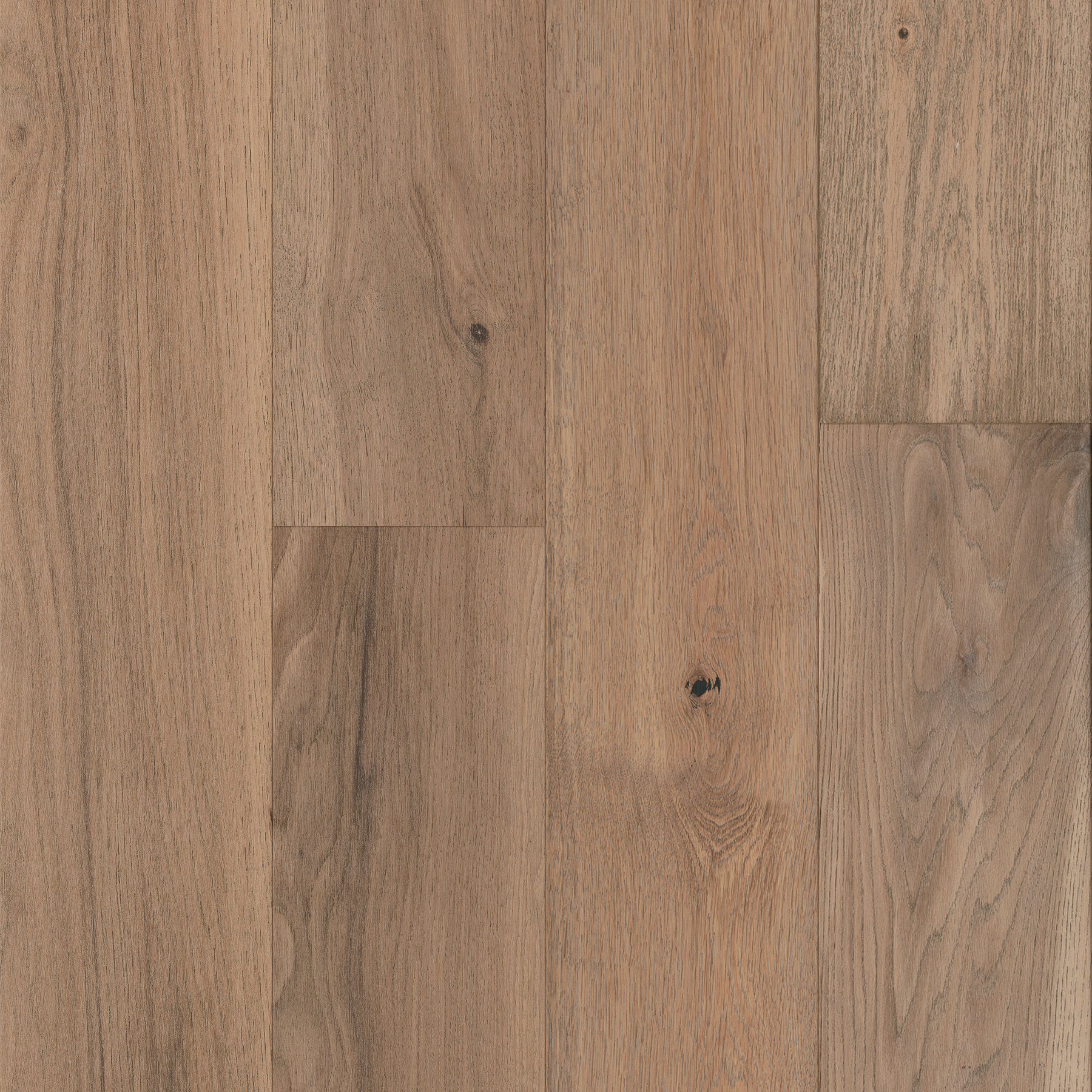 Big Sur Sand Dollar Engineered Hardwood TR12381